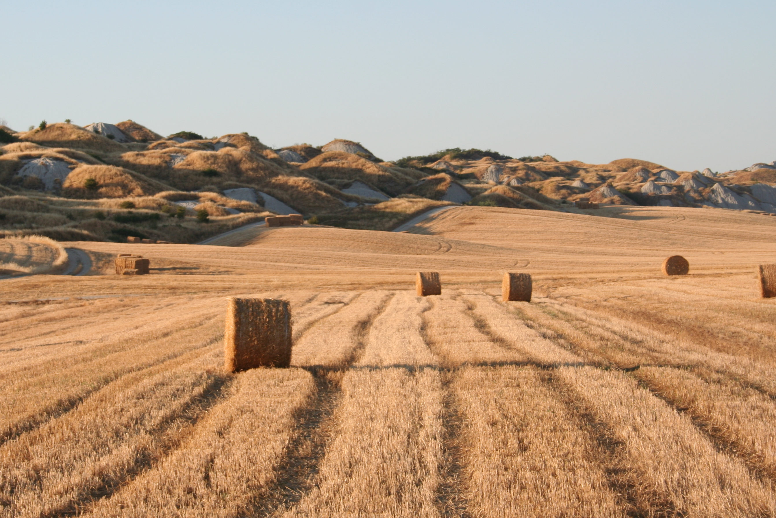 crete senesi