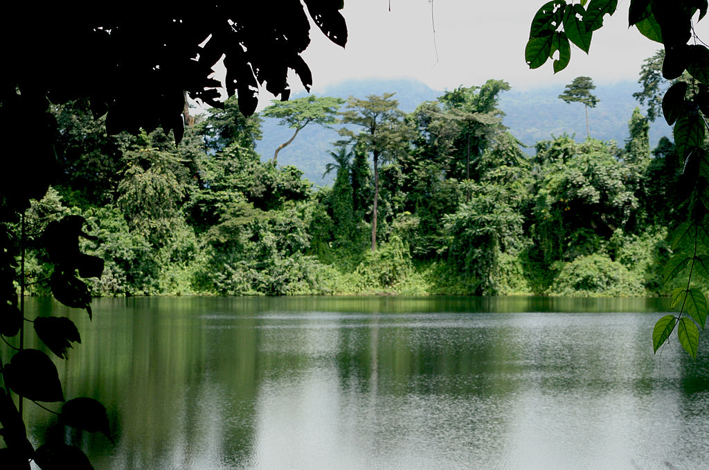 camerun
