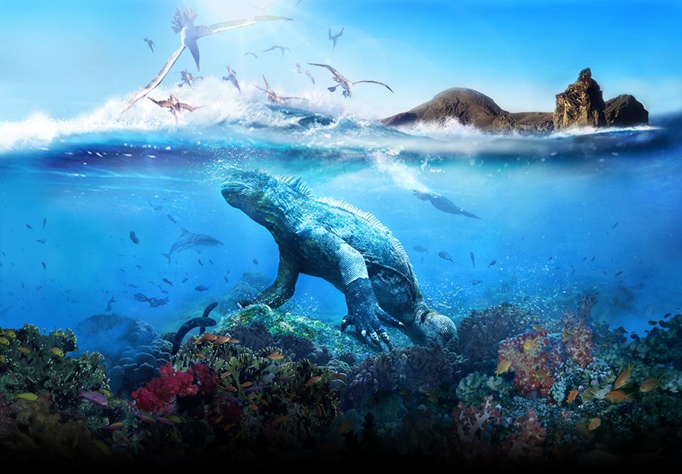 isole galapagos