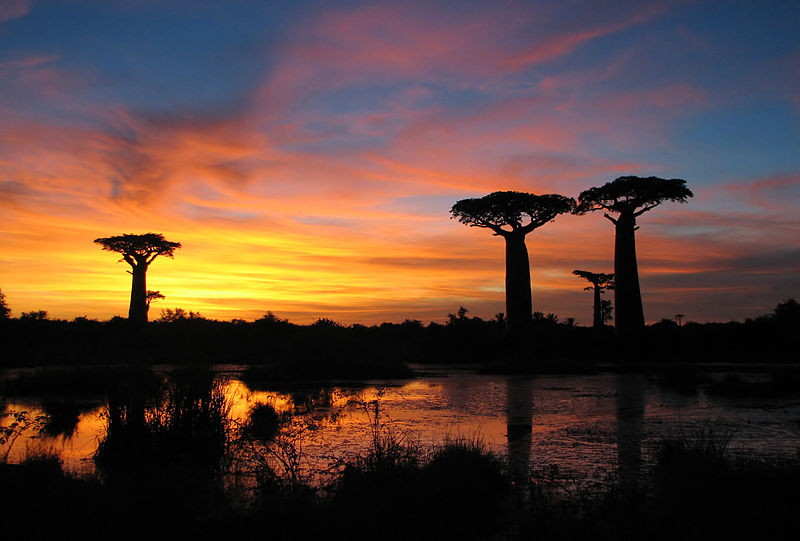 Madagascar clima