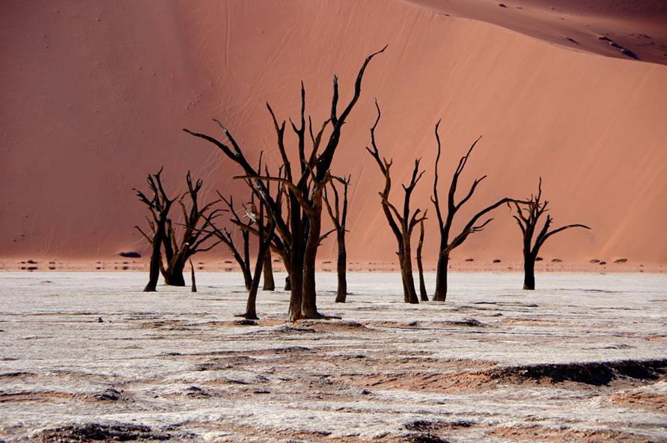 dead vlei