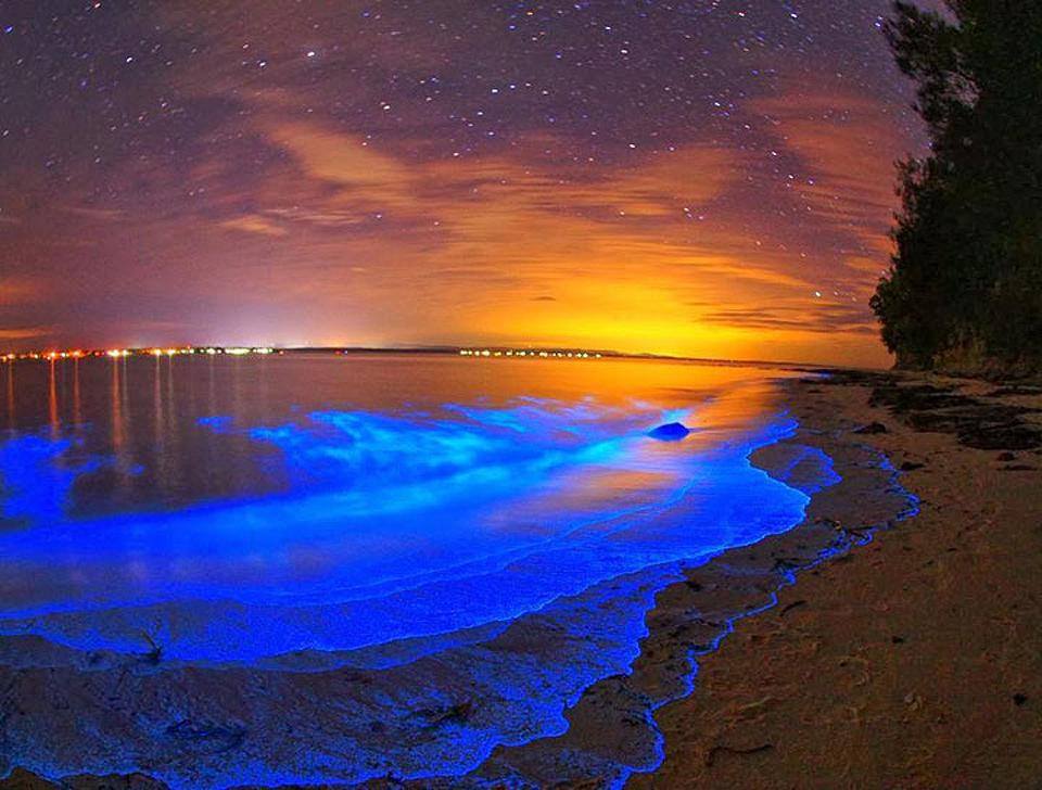 isola vaadhoo