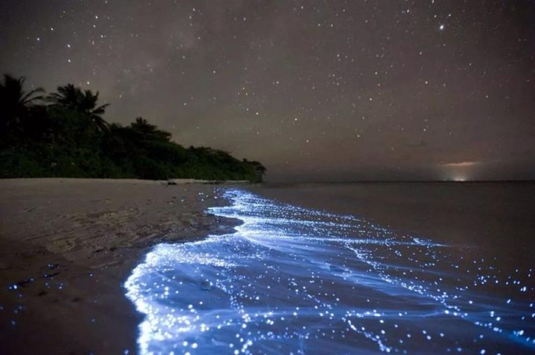 isola vaadhoo