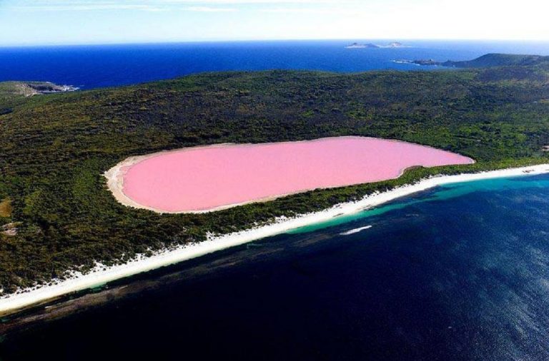 lago hillier