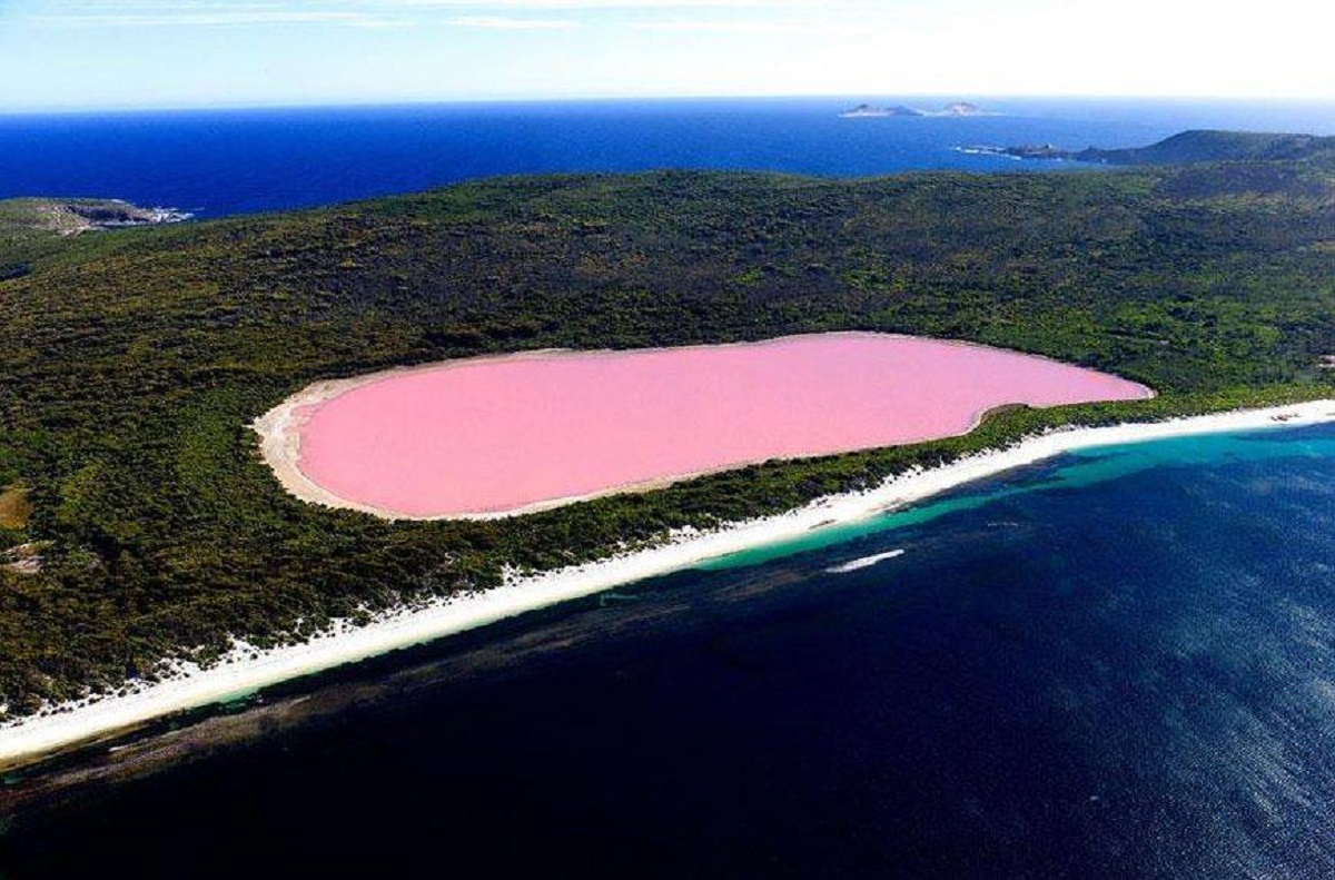 lago hillier