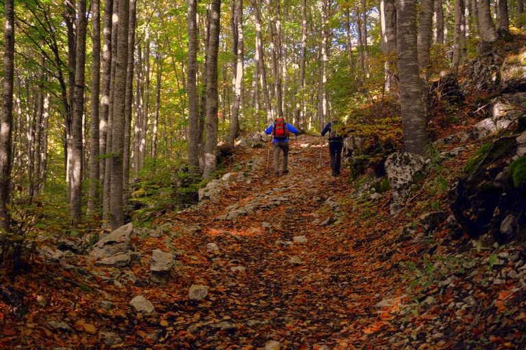 trekking