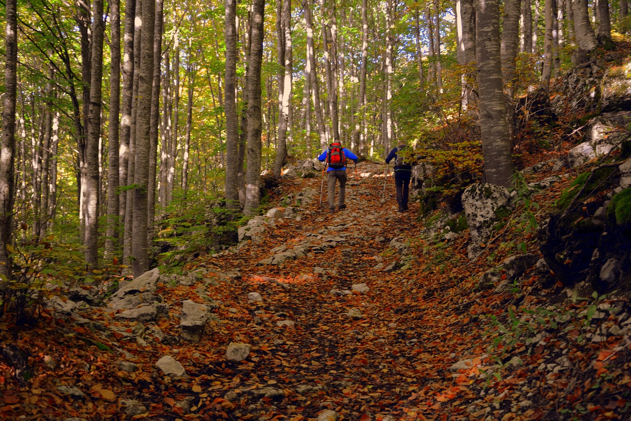 trekking