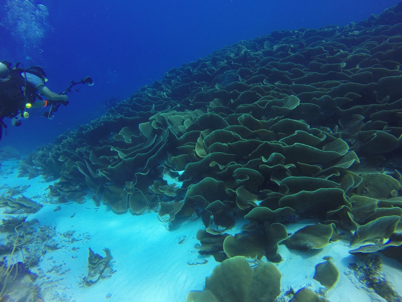 palau
