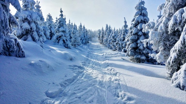 madonna di campiglio