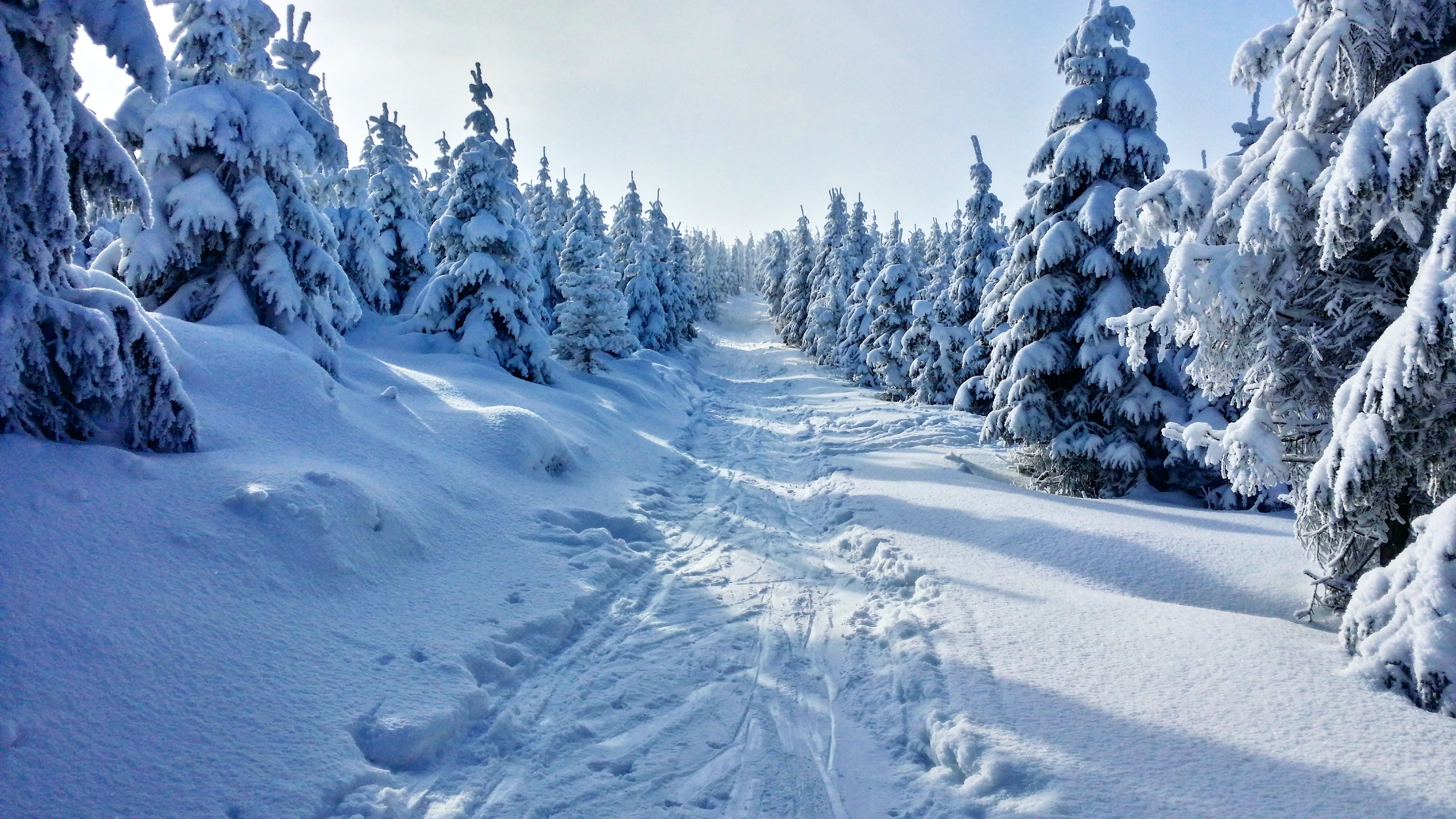 madonna di campiglio