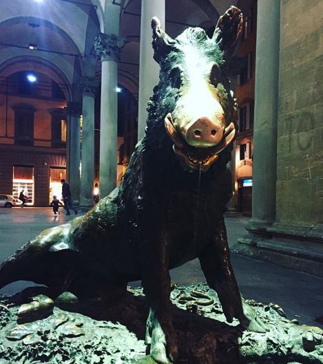 muso porcellino