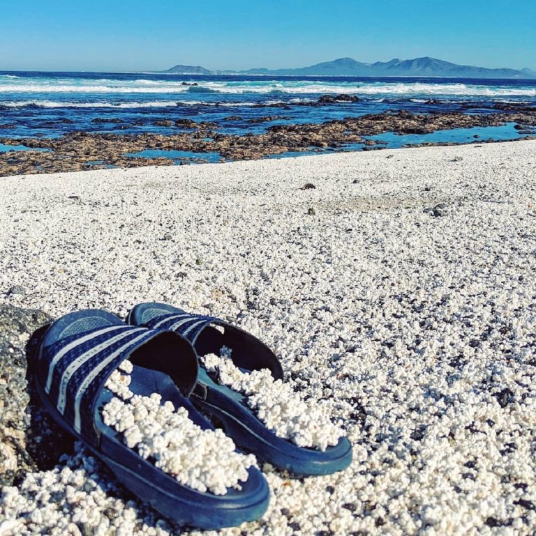 pop corn bay