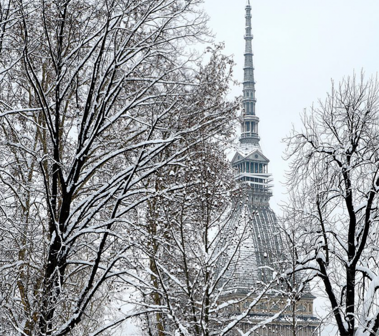 torino