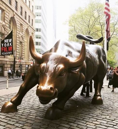 toro wall street