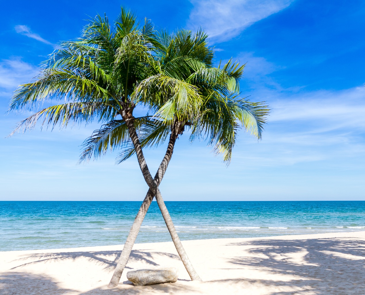 Tourism for Tomorrow