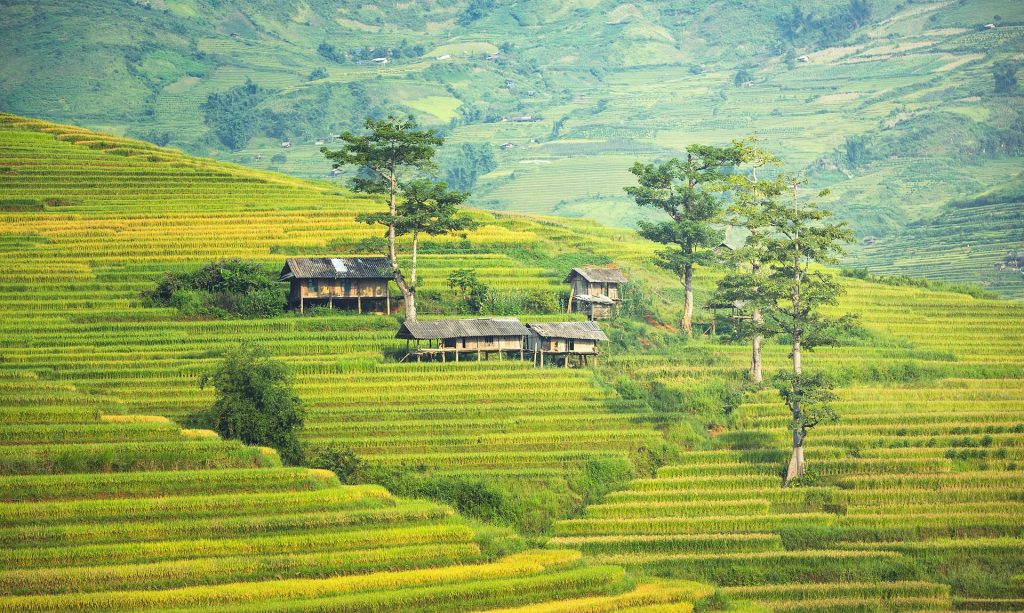 Malesia