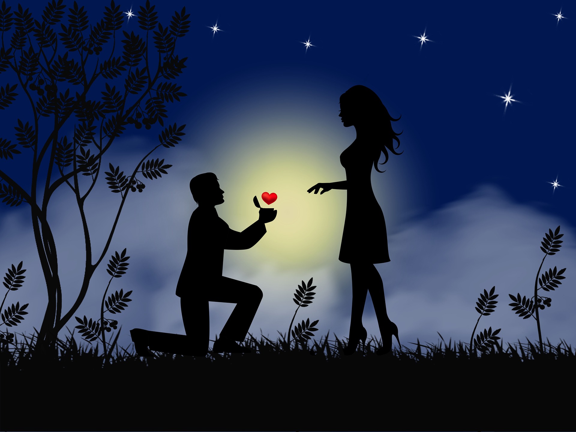 Proposta di matrimonio