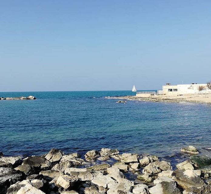 bari