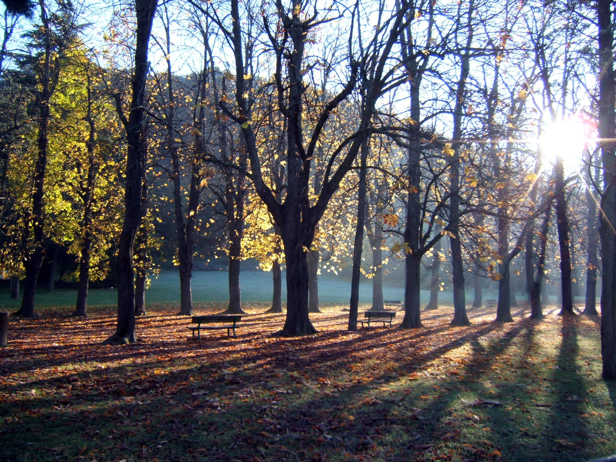 Casalecchio di Reno