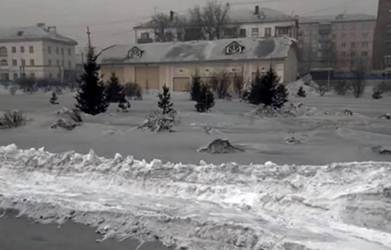 neve nera