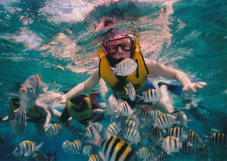 snorkeling