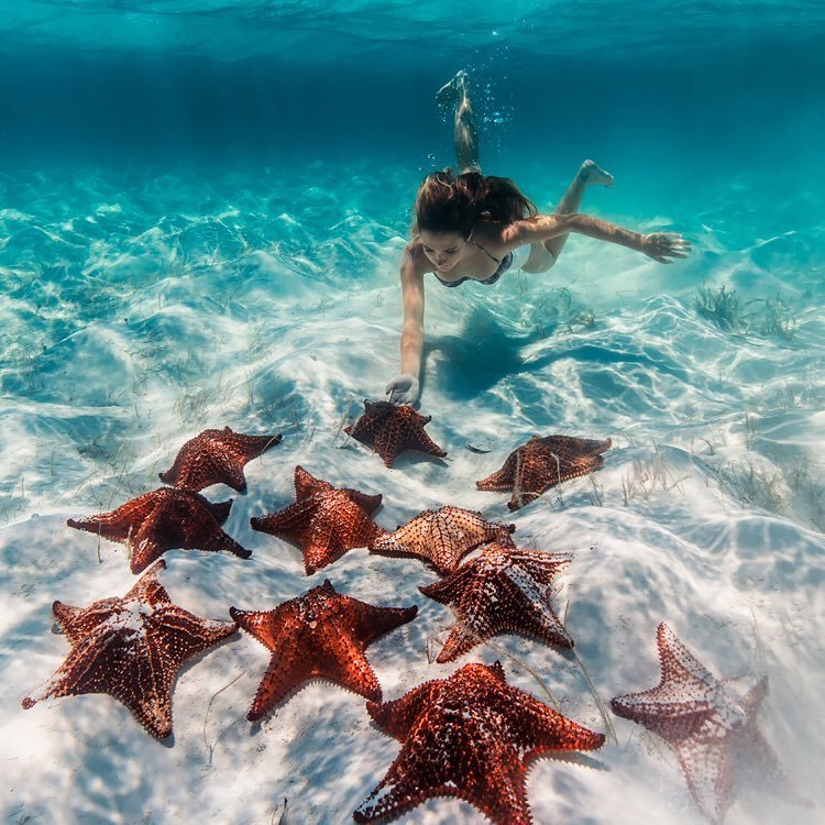 Snorkeling