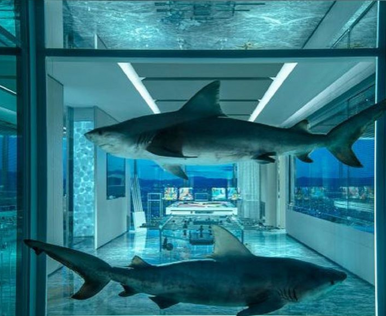 Empathy Suite, la suite più costosa al mondo si trova a Las Vegas