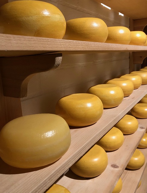 gouda