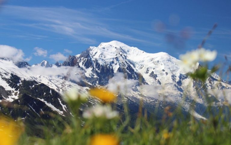 monte