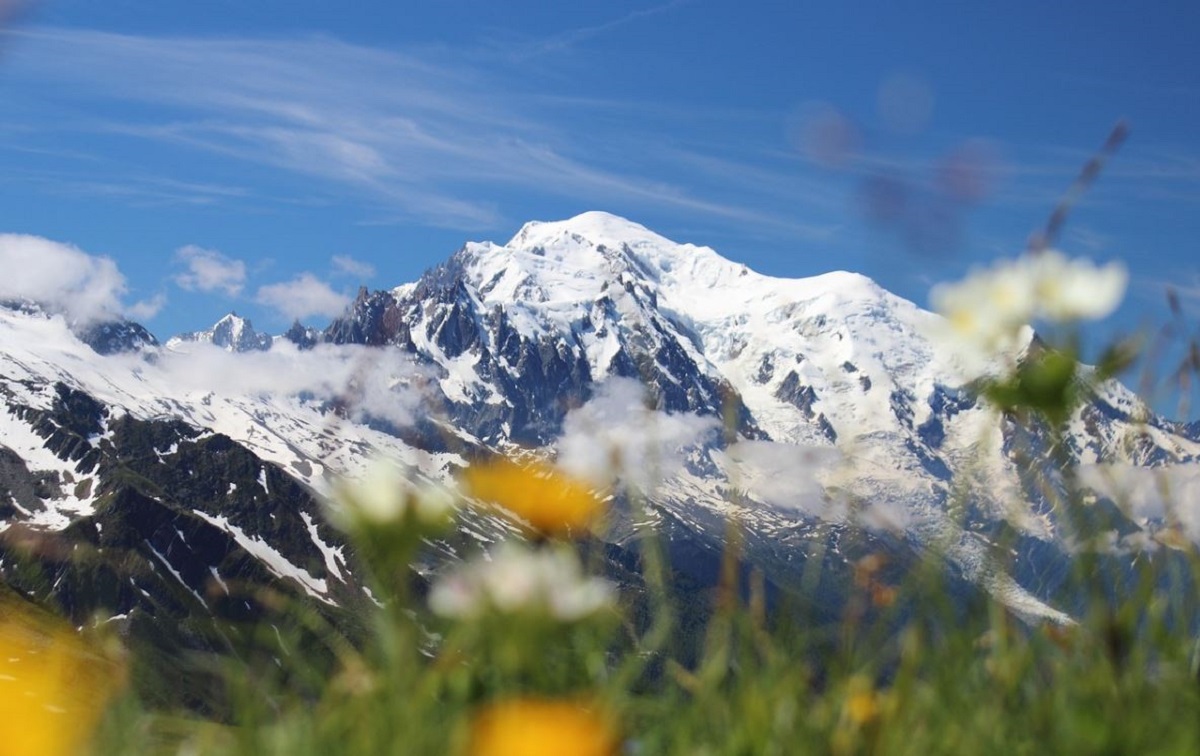 monte