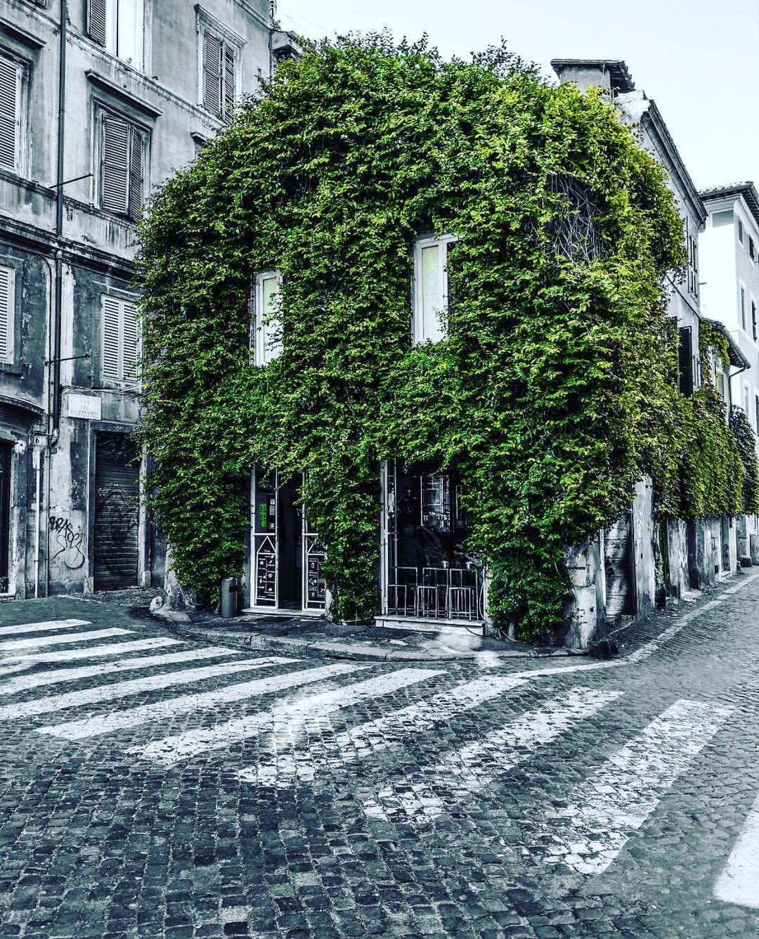 roma
