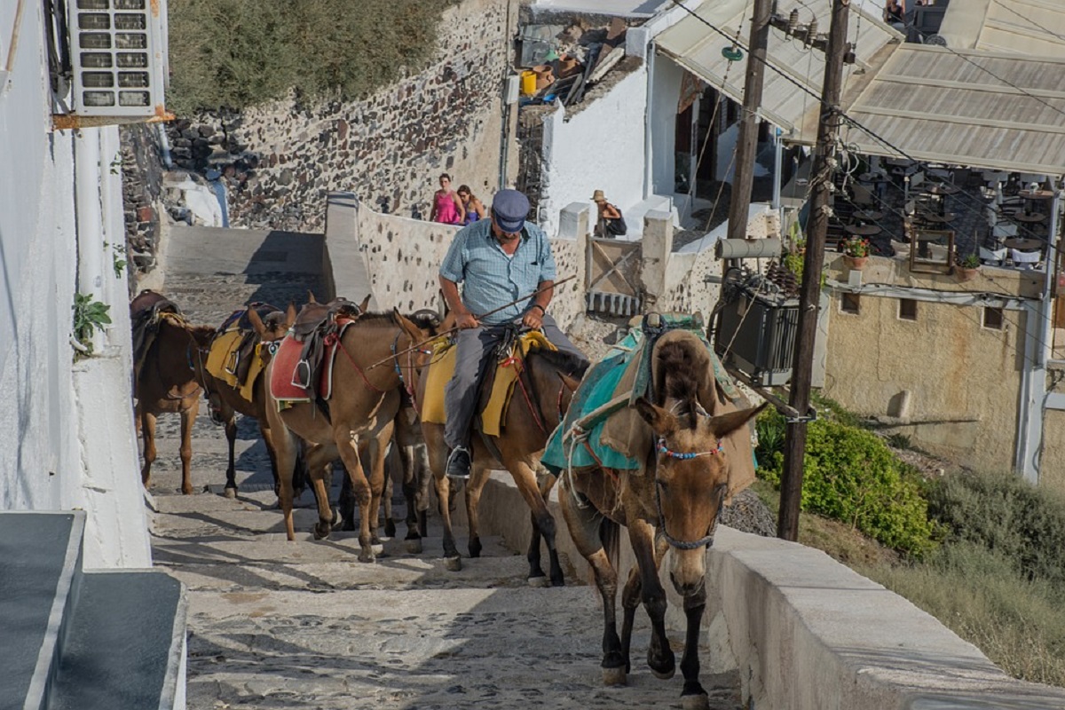 Asini Santorini