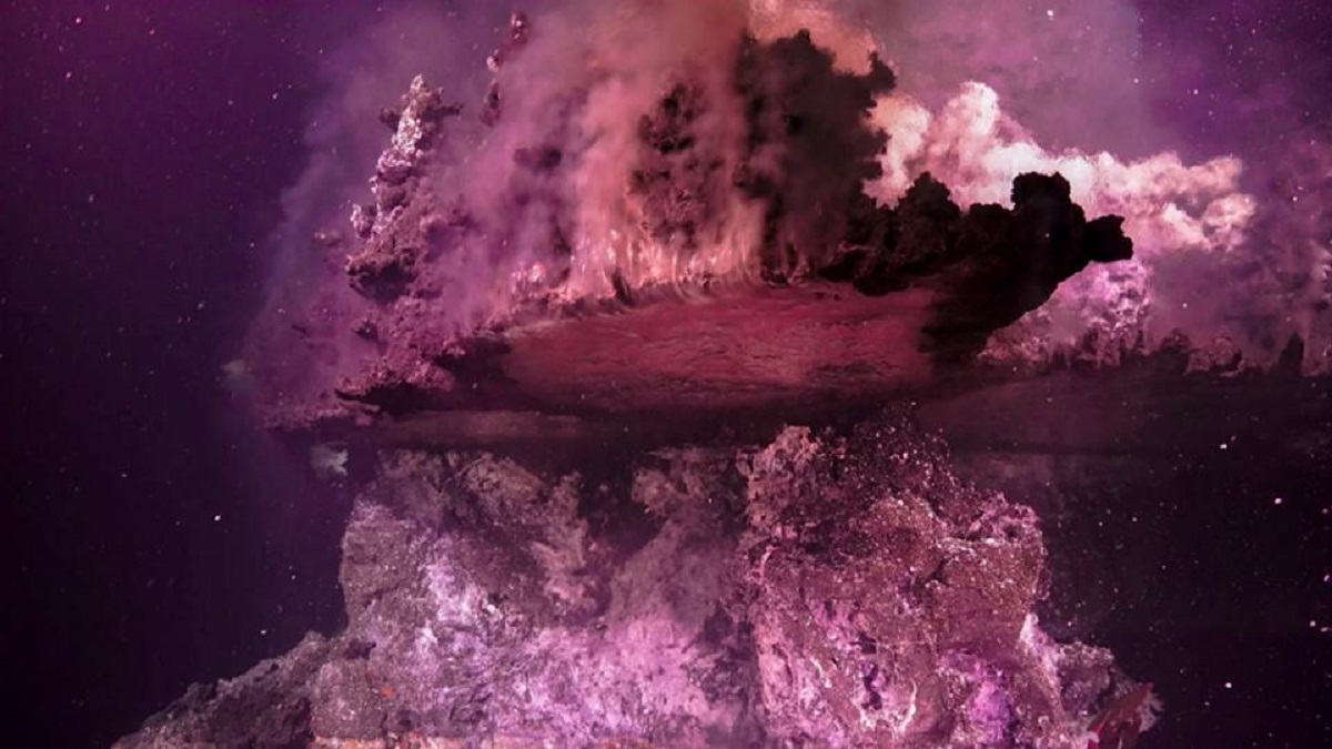 cascate viola mondo sottomarino