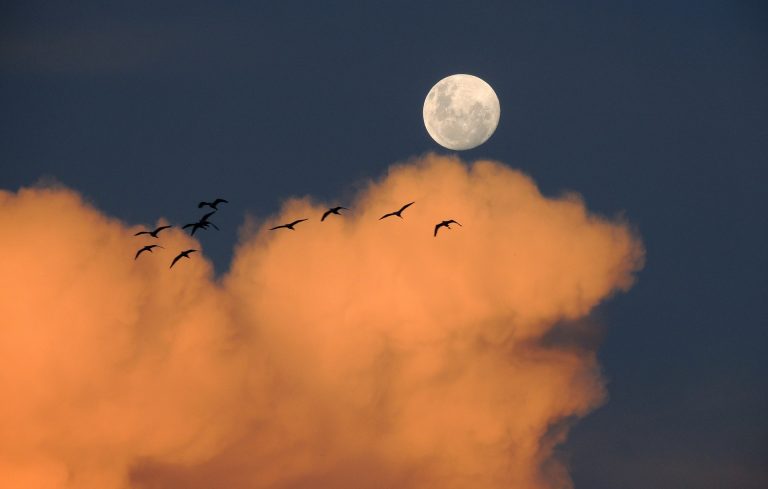 luna rossa