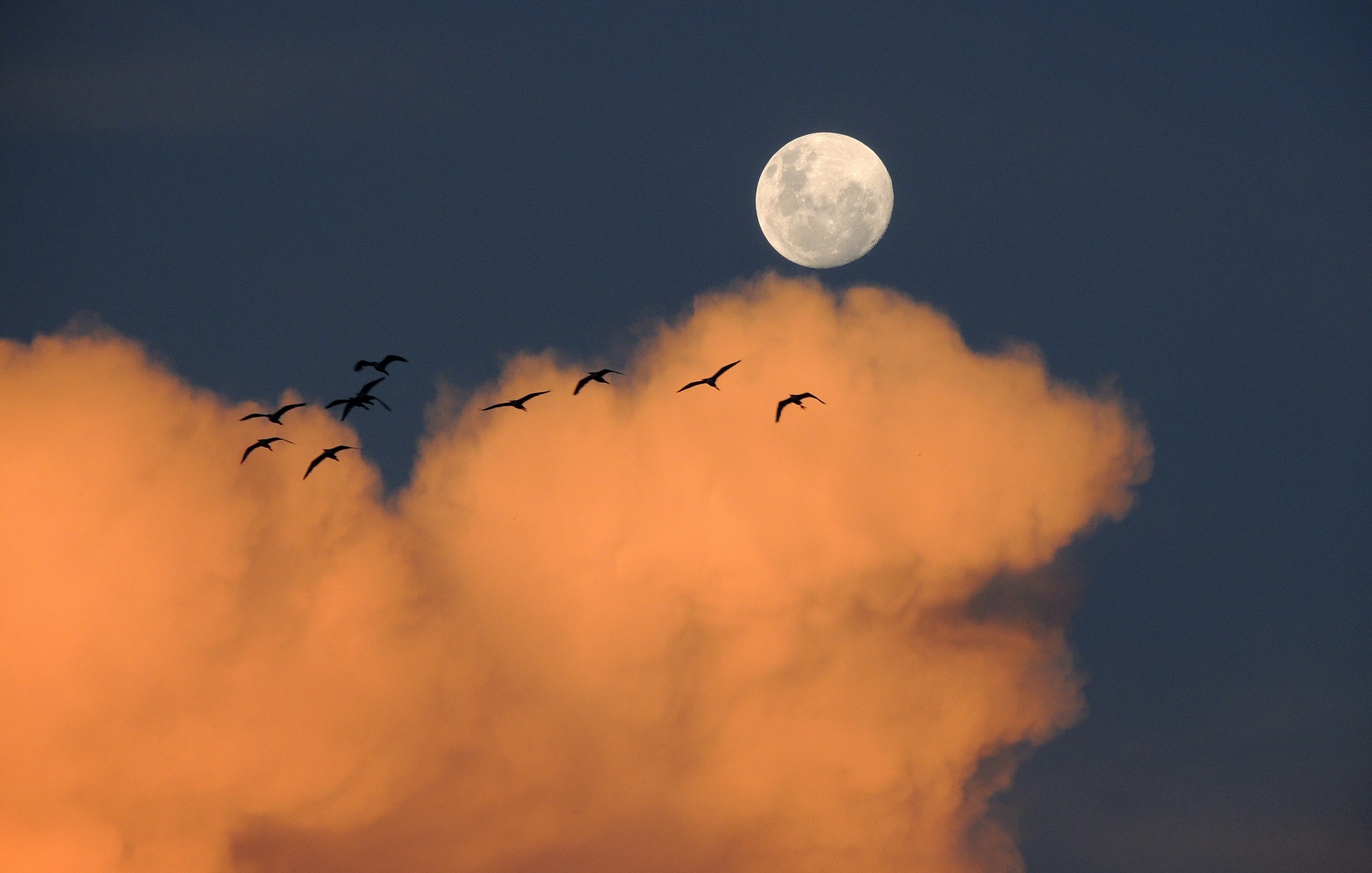 luna rossa