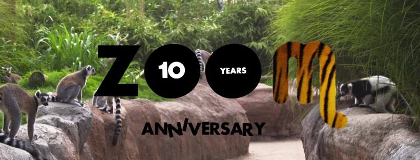 zoom 10 anni