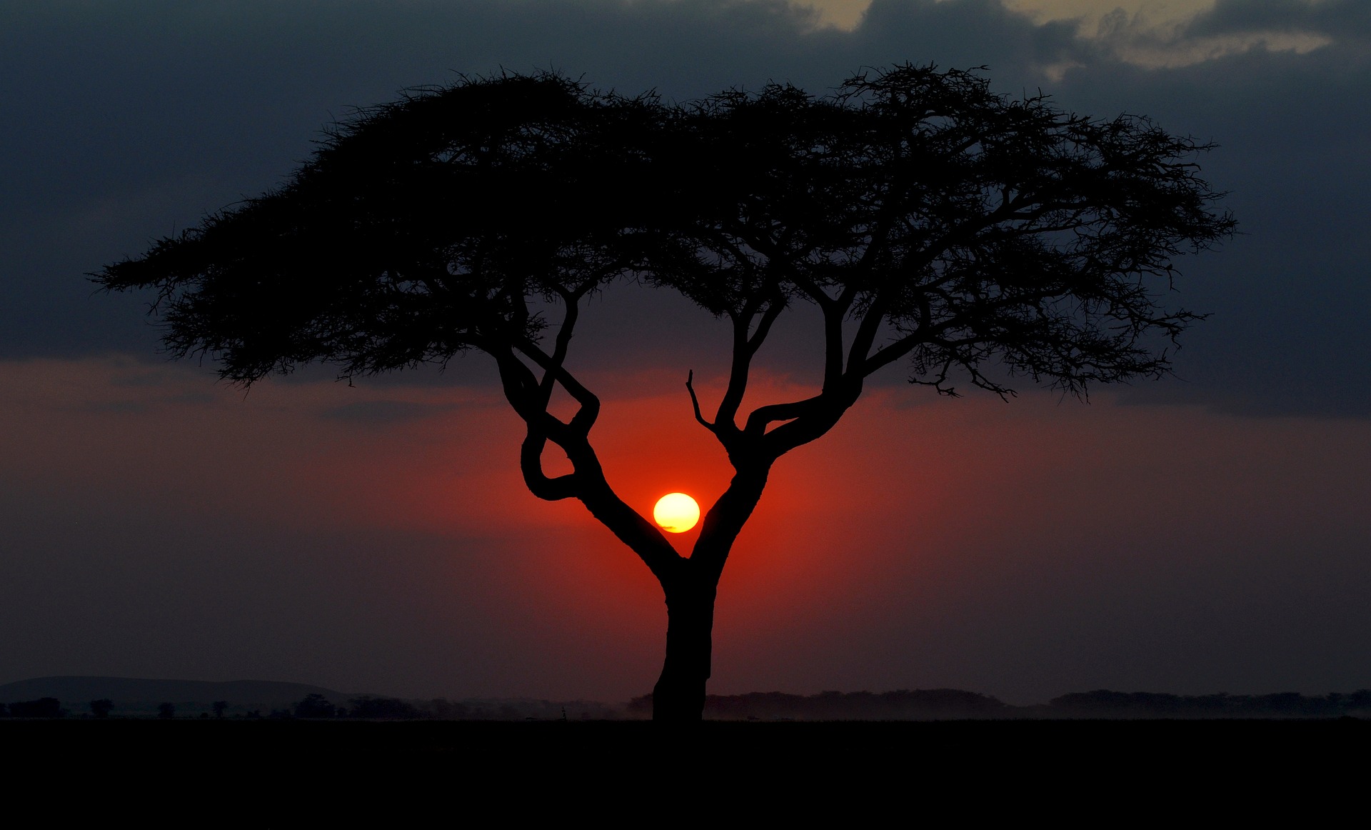 kenya