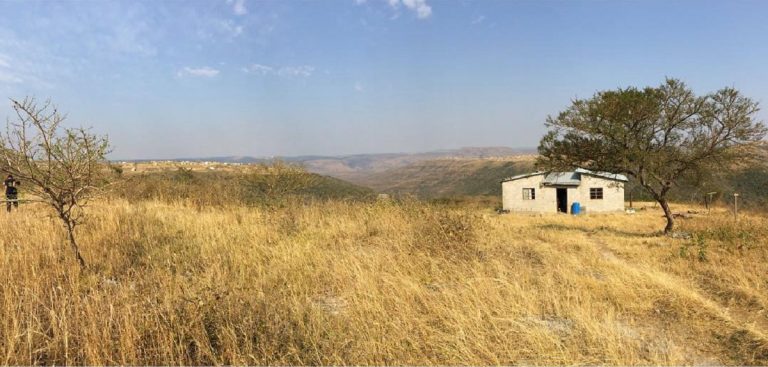 Madiba house