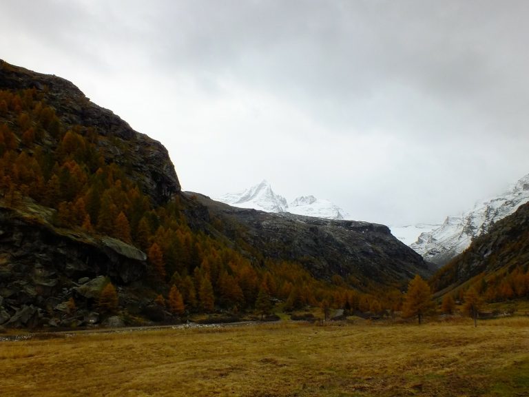 parco nazionale del gran paradiso cosa vedere