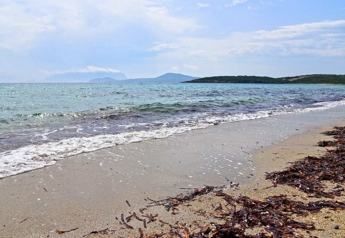 alghero o olbia
