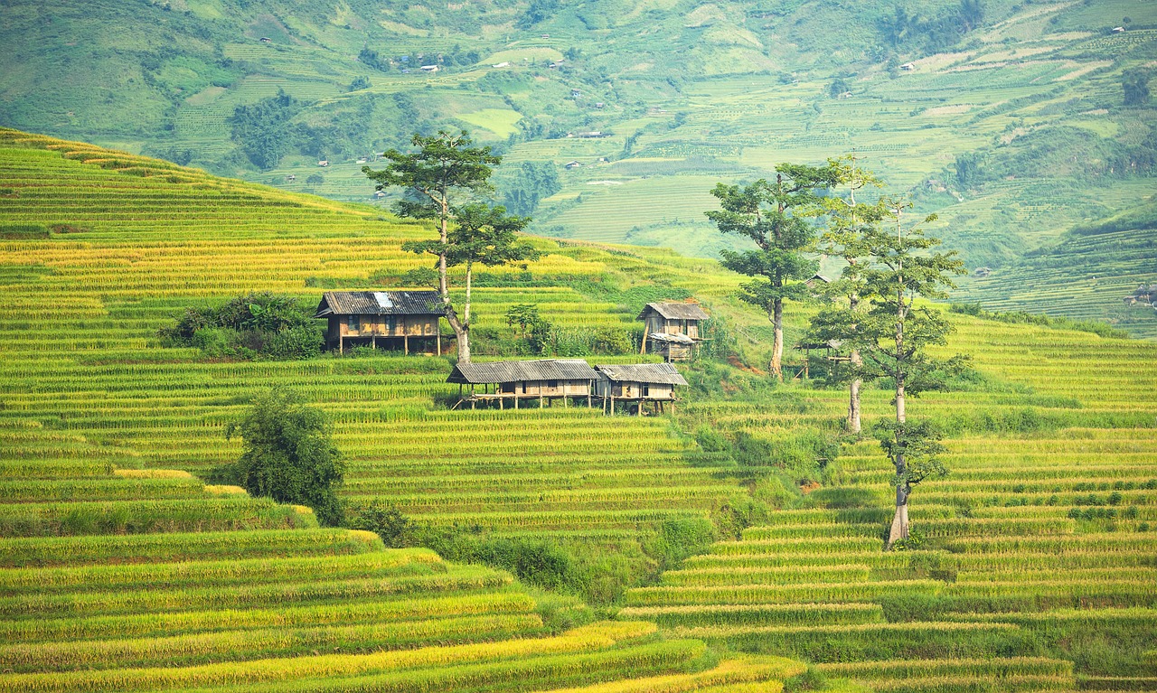 bali