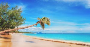 beach 2528635 1280 300x156