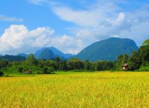 laos