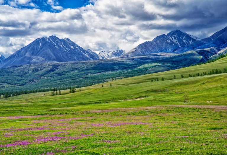 mongolia