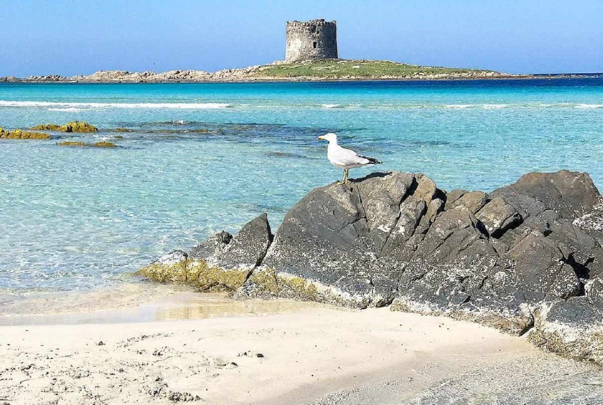 spiaggia la pelosa stintino