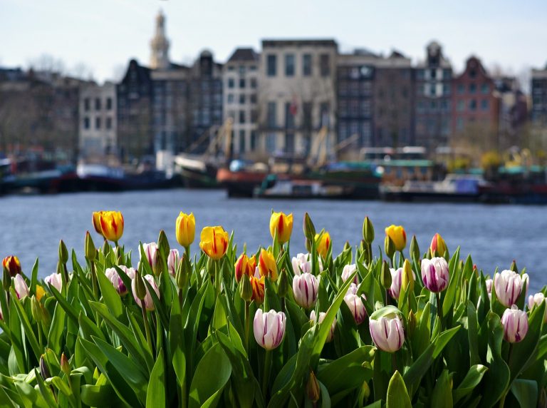 amsterdam cosa vedere in un giorno