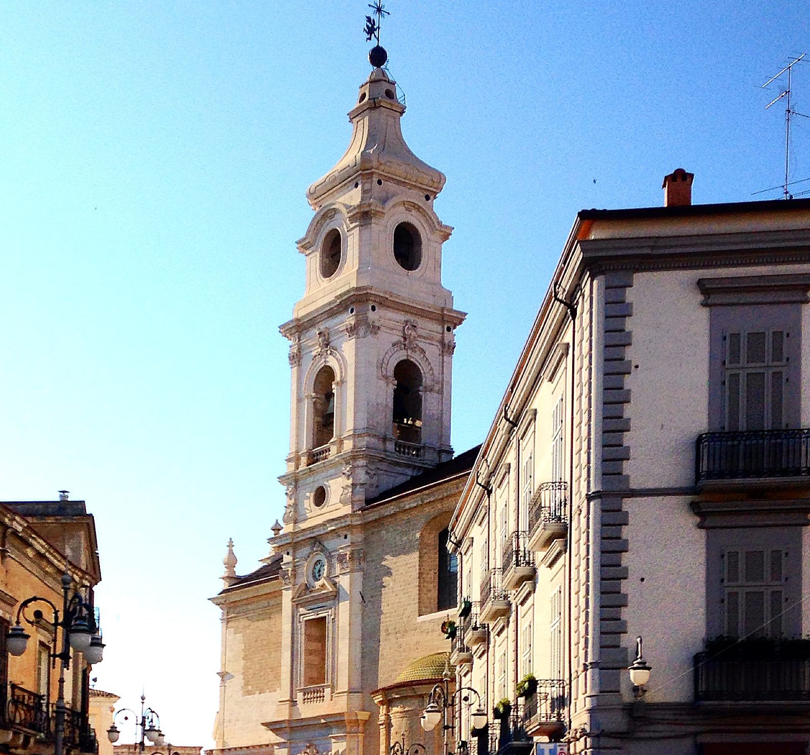 bovino