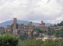 colli piacentini