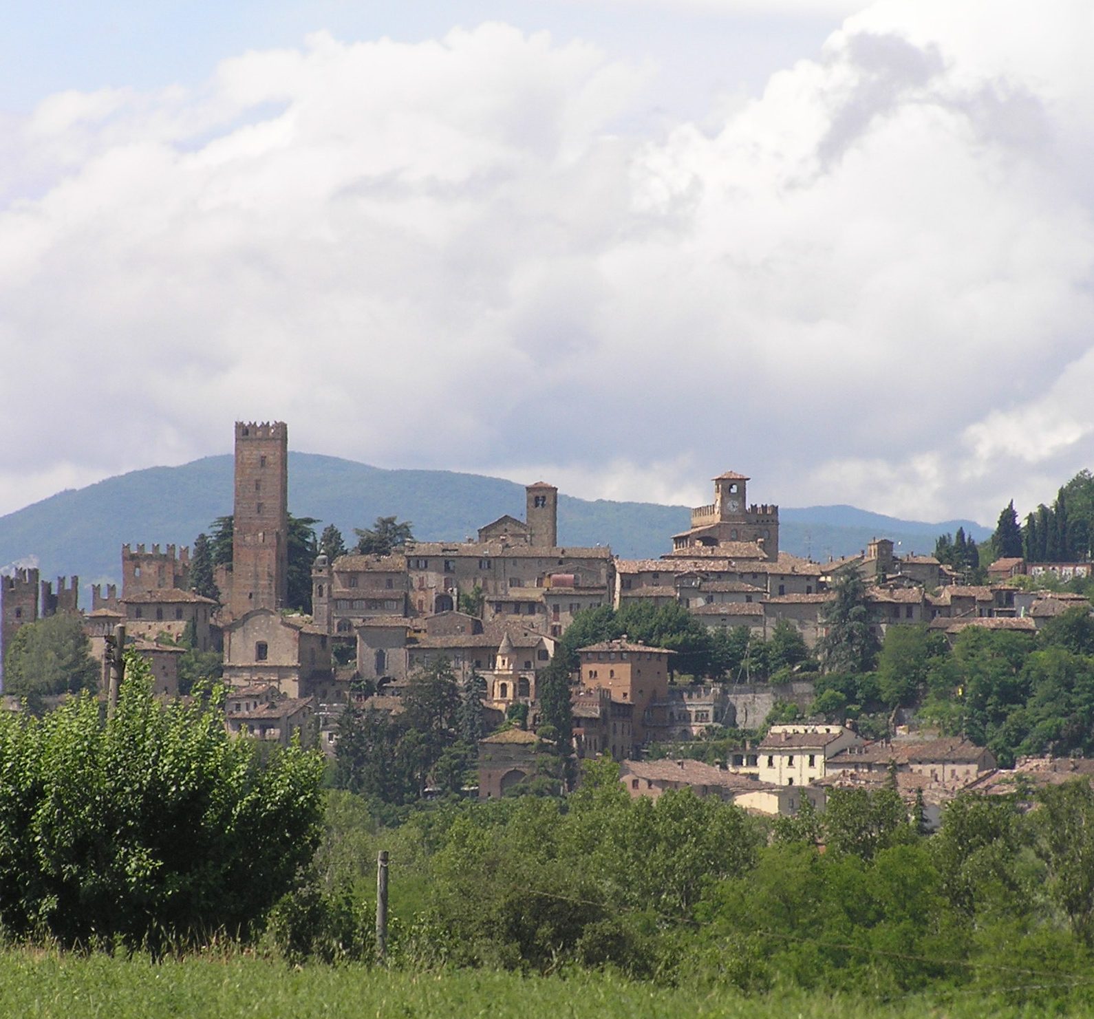 colli piacentini