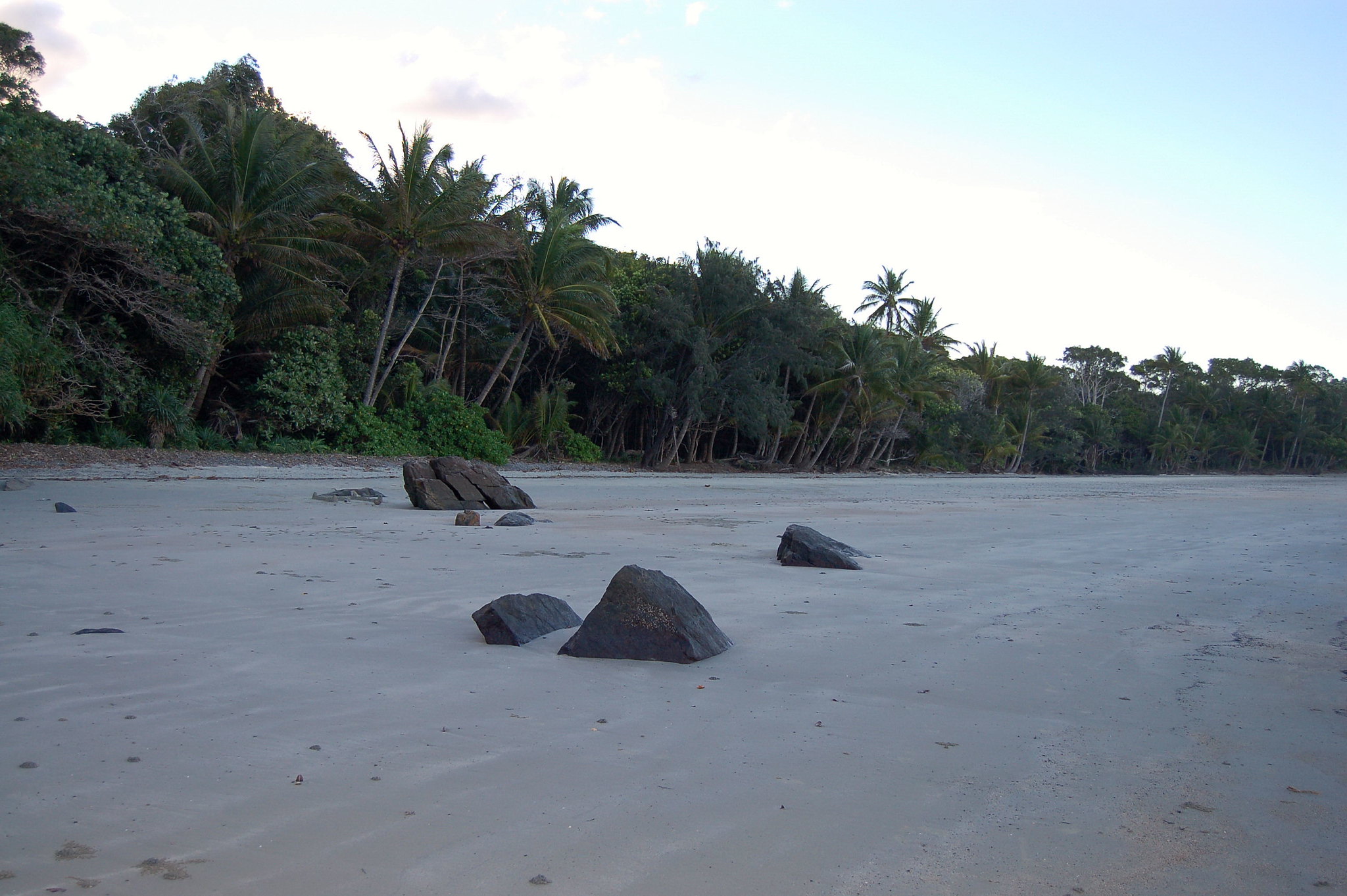 Daintree National Park